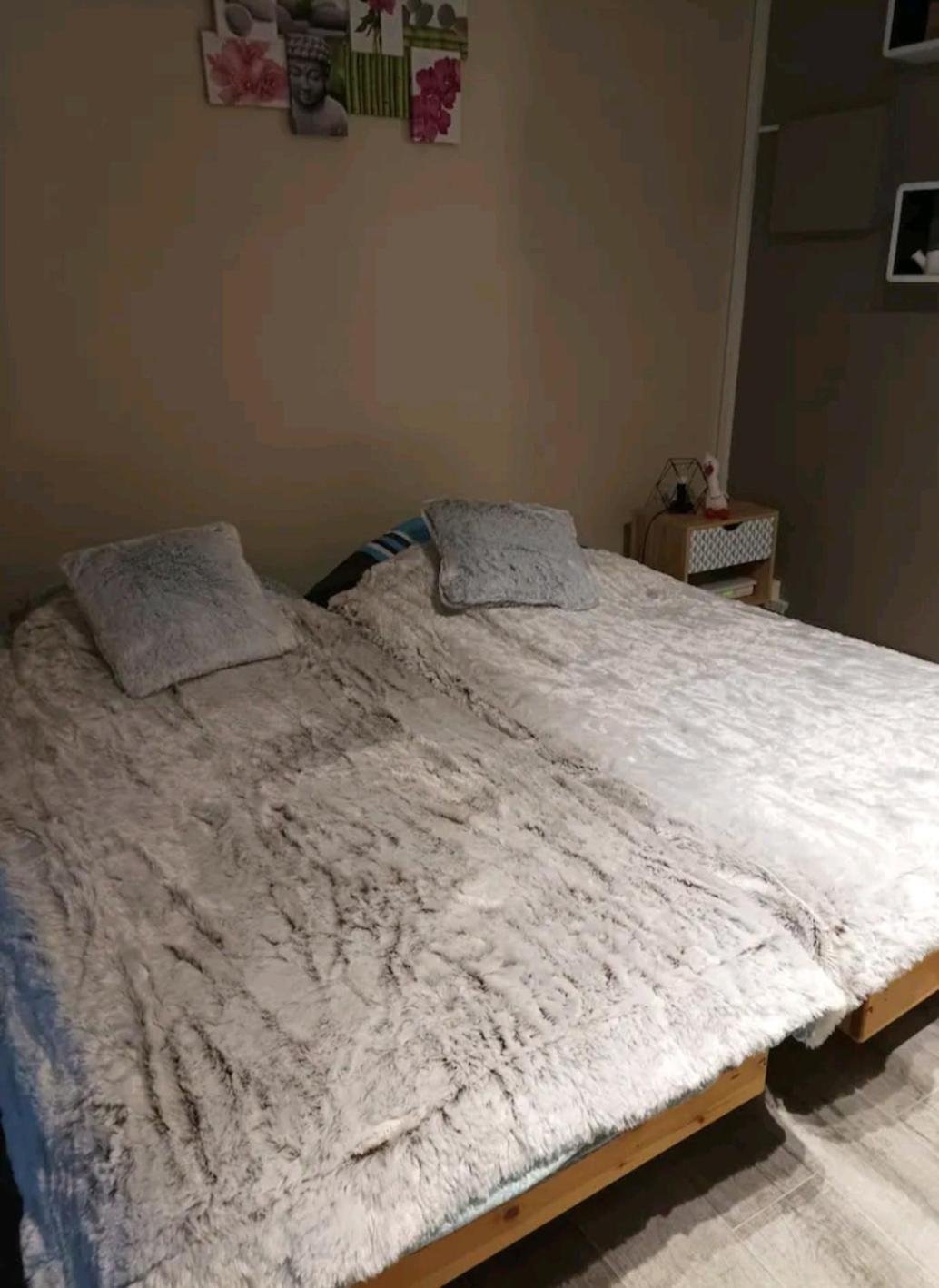 Le Cocon De Sausheim Apartment Cameră foto